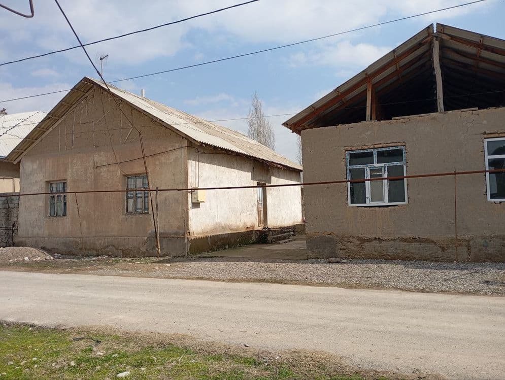 Дом 8 комнатных. — 1