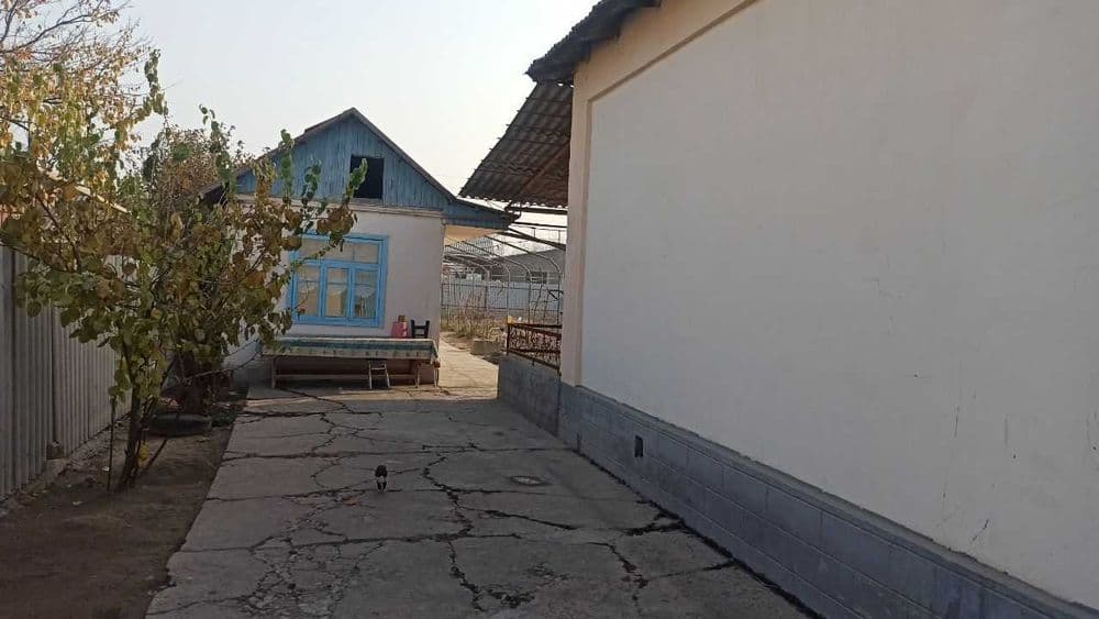 Продается дом в области — 2