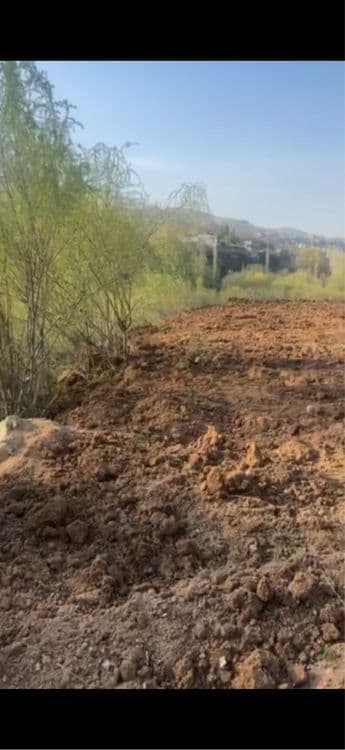 dacha ugam bochka suv bo’yida — 5