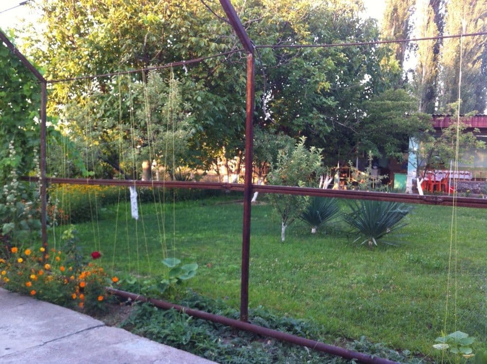 Продаю свой дачный участок в Бостанликском районе (Байткурган) — 3
