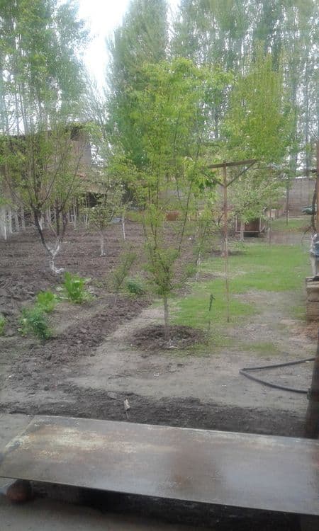 Уй сотилади , 8 соток 8 хона — 6
