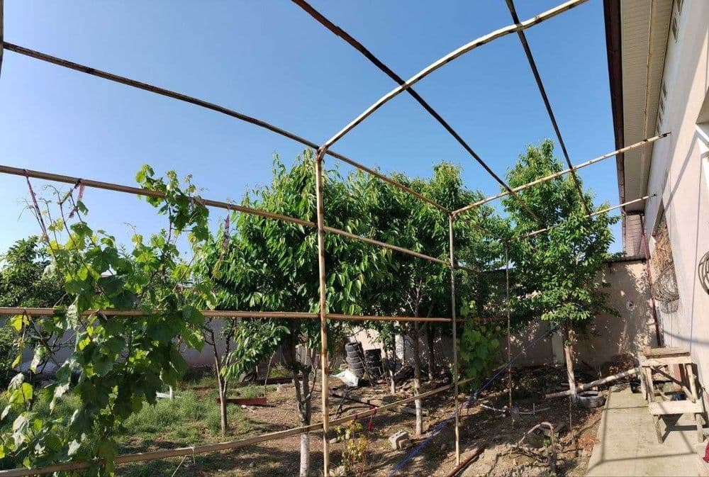 продается участок 6 соток — 5