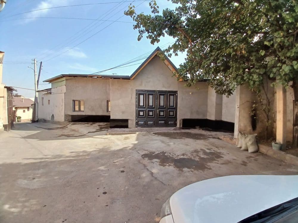 Kotej  sotiladi Mirzo ulugbek oltin tepa — 2