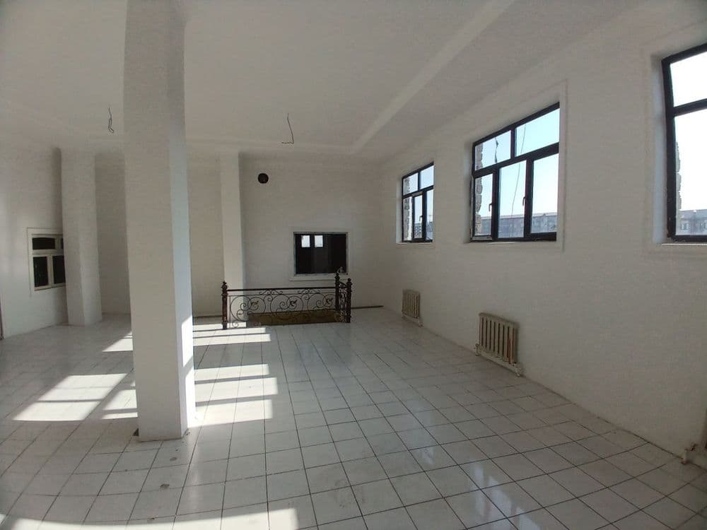 Kotej  sotiladi Mirzo ulugbek oltin tepa — 4