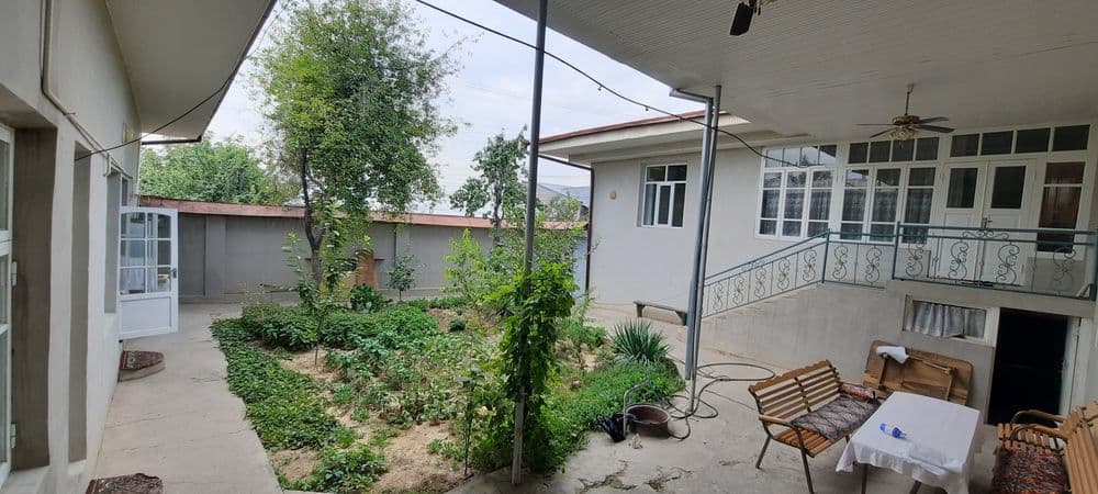 Xovli sotiladi qoraqamishda — 2