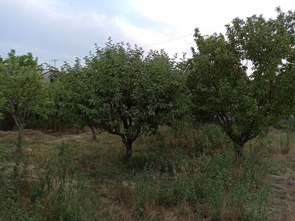 Продается участок с коробкой — 3