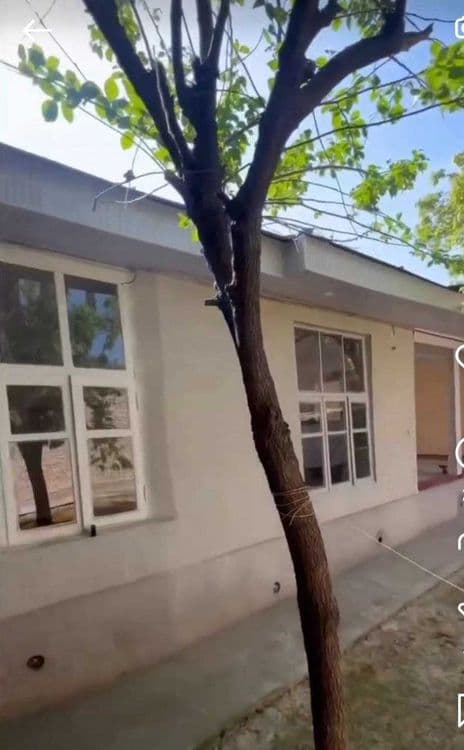 Улица Юсуфа Саккокий 3,8сот, 6 комн, фасад 15метров — 3
