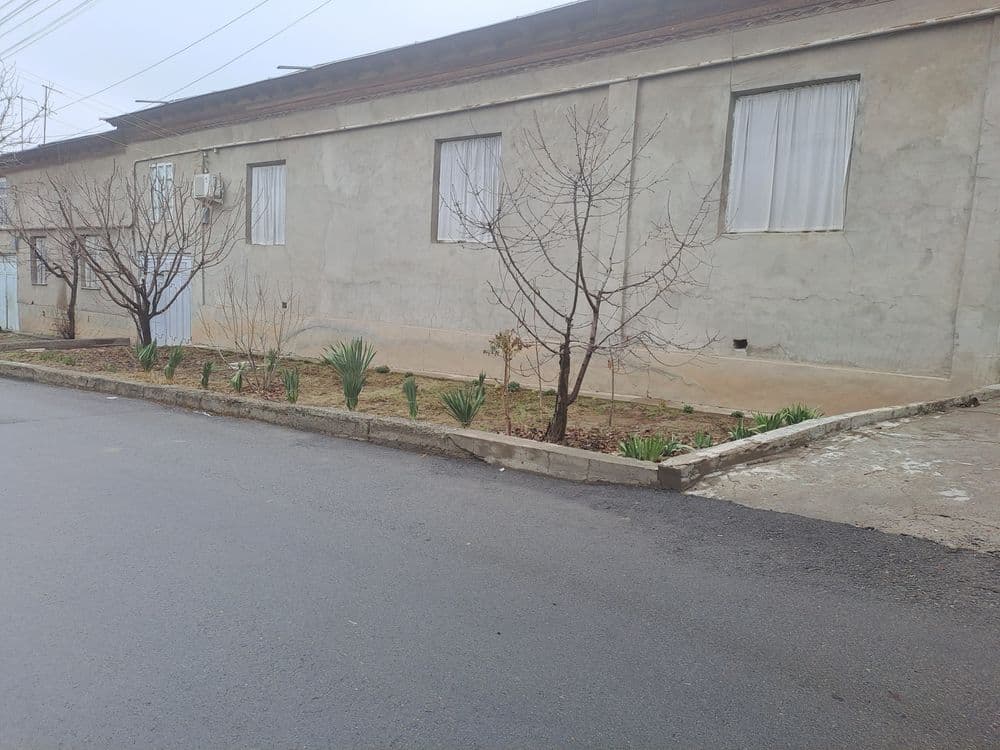 Toshkent shaxar Uchtepa tumani orikzor maxxalas — 4