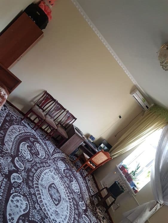 Kotej sotiladi 6 sotik — 4