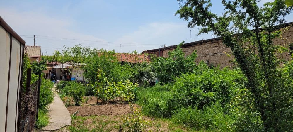 Продаю свой участок с домом в центре Кибрая — 5