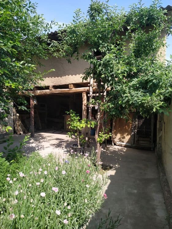 Ховли (коттедж) сотилади — 3