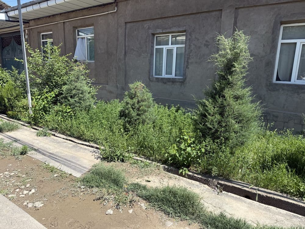 Yashnobod tumani ilgor kochasi 10 sotixli uchaska srochi arzonro berla — 2