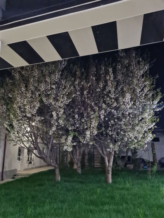 Hovli sotiladi yunusobod — 3