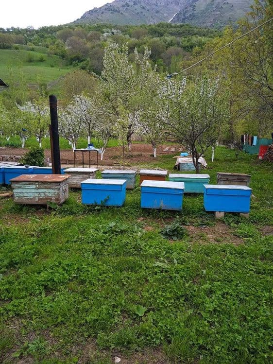 продаётся Дом в Бостанлыкском районе село Испай — 2