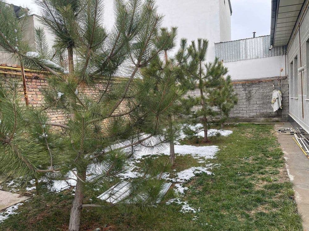 Продается коттедж евро ремонт — 3