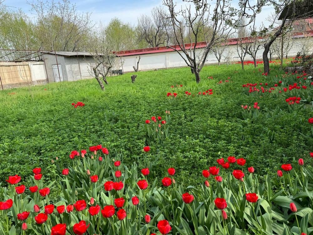Свой коттедж , площадь земельного участка 13 соток — 3