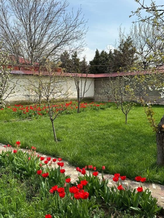 Свой коттедж , площадь земельного участка 13 соток — 6