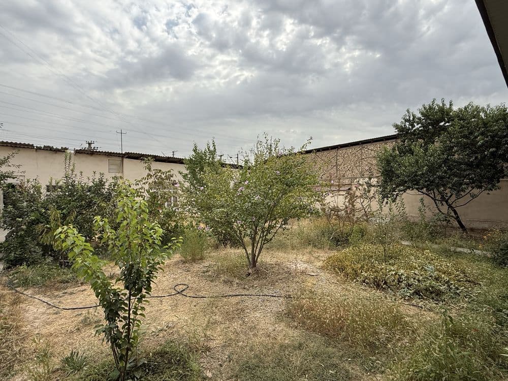 Hovli sotiladi. Yo'l yuzida — 3