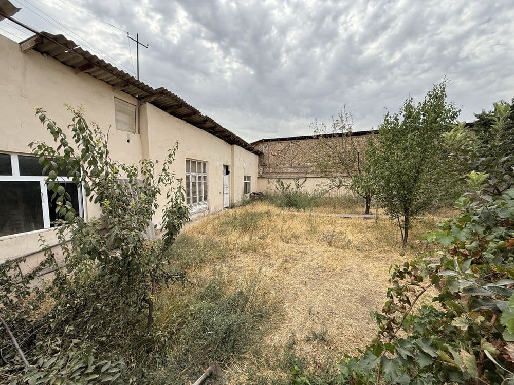 Hovli sotiladi. Yo'l yuzida — 5