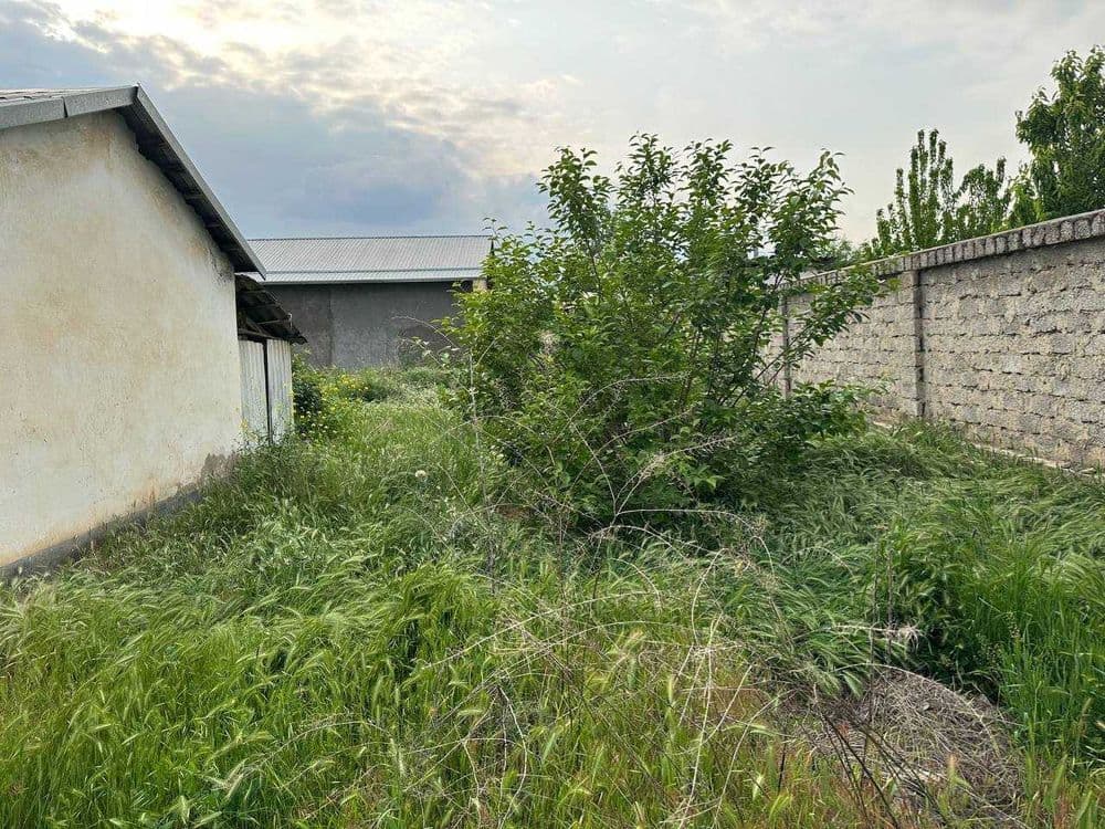 Срочно продаю Дом в Политотделе (Дустлик) 12 соток — 4