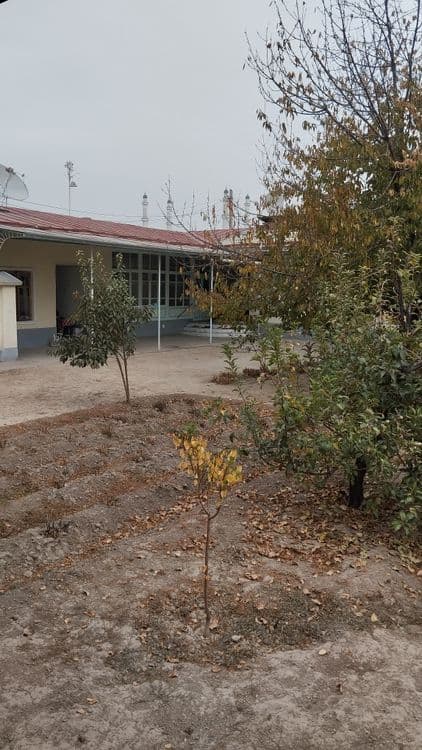 Olmazor tuman xovli 8,9 sotiq — 5