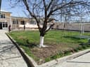 Земельный участок с домом в Кибрае 12 соток