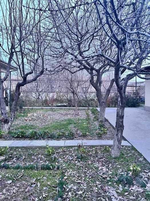 Erkin mahalla Olim polvon orqasida 13 sotixli uy  sotiladi zor narxda — 3
