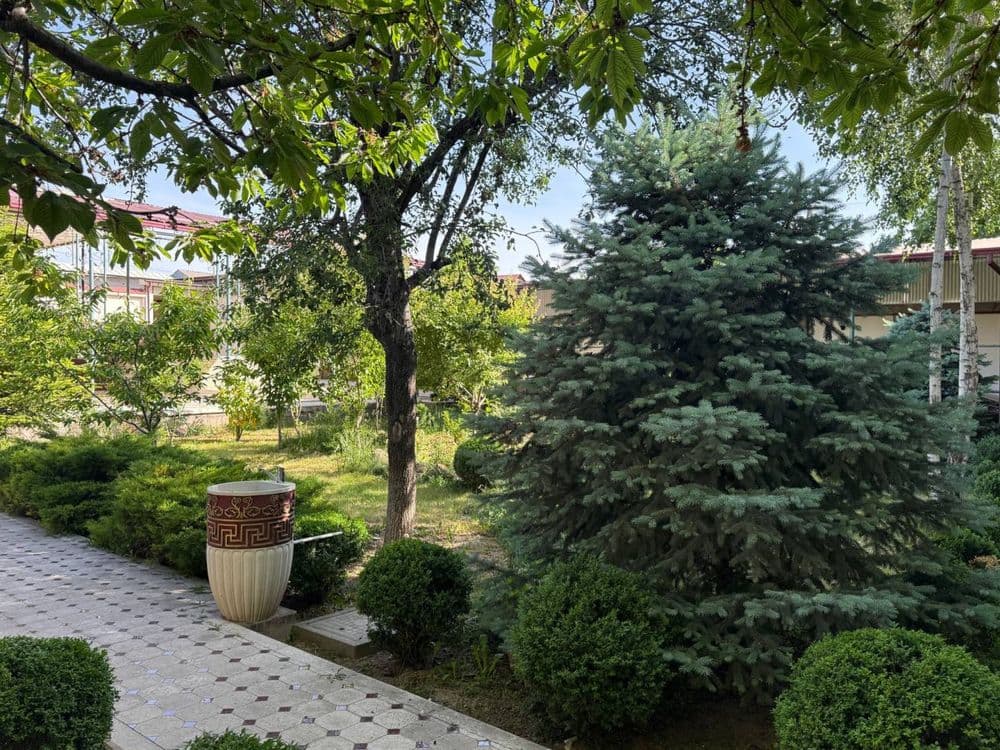 Продается добротный дом с живой природой , горный воздох  13 сотках — 4