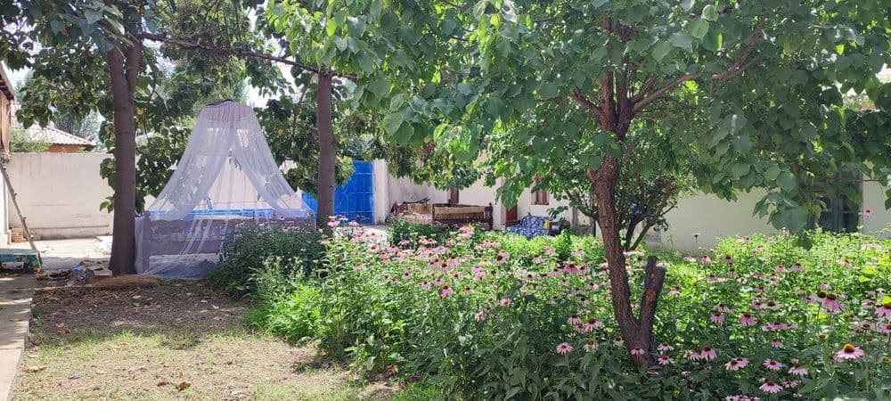 Продажа дачного участка возле парка Янги Узбекистан, Янги базор — 8