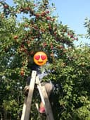 Продаётся участок 15 соток Янгихаётский район г.Ташкент