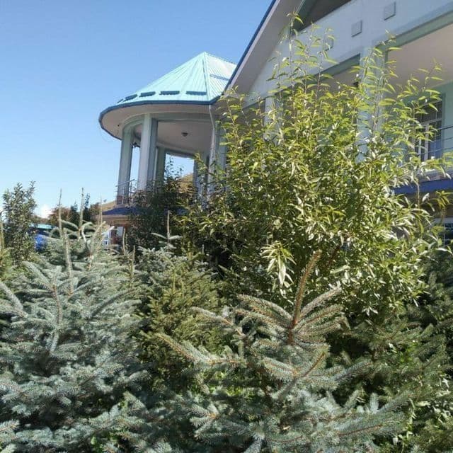 Евро дача в Чимгане продается. — 1
