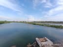 Ташморе готовый бизнес на 4 гектарах у реки