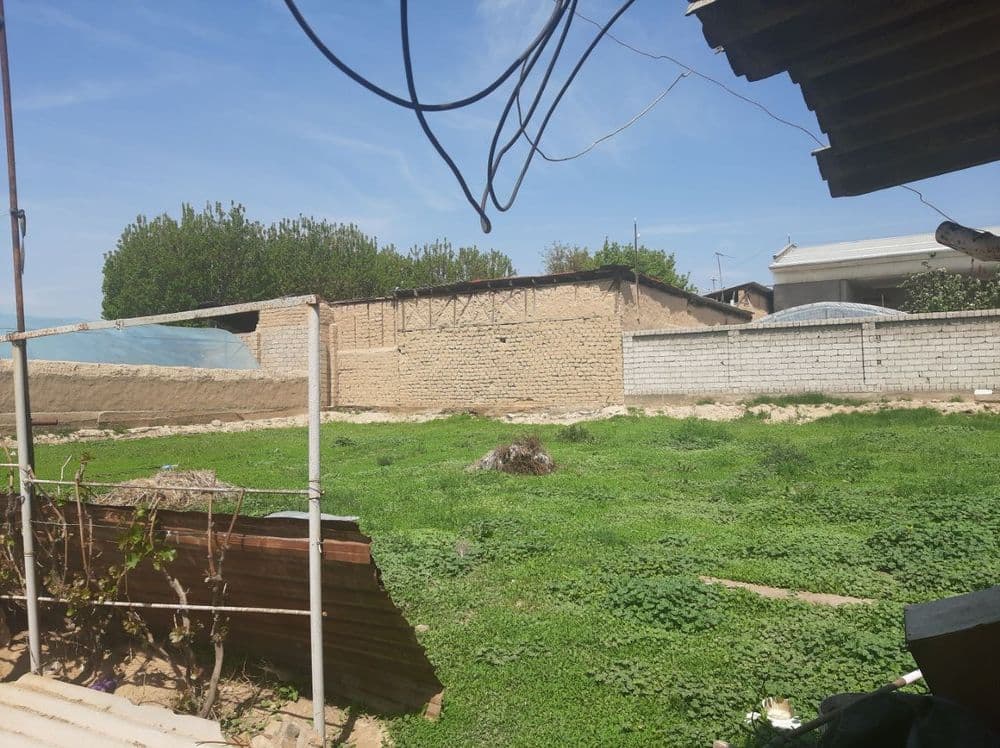 Xasanboyda uy sotiladi yer xisobida: 13,66 cotix — 6