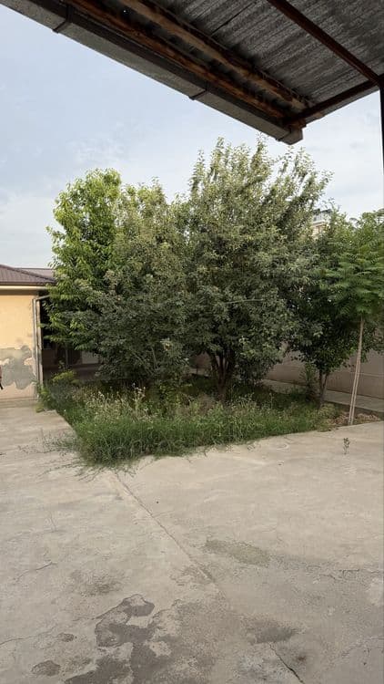 Mirza ulugbek rasyon orintir Dagestanskiy Uy sotiladi — 2