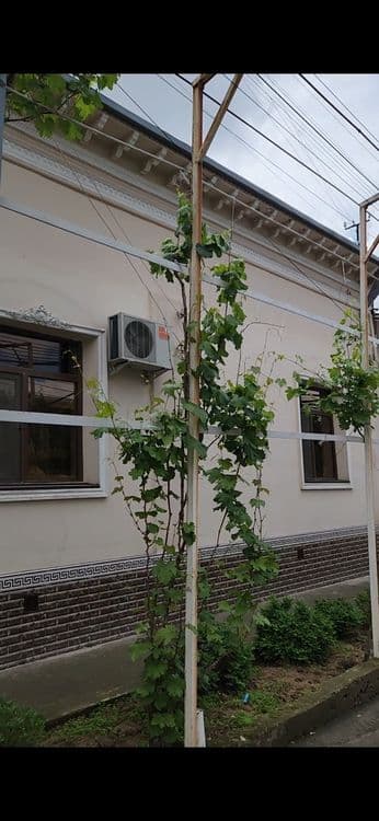 Uy sotiladi 6.8 sotix Uchtepa tumani Beshqayragoch mahallasi — 1