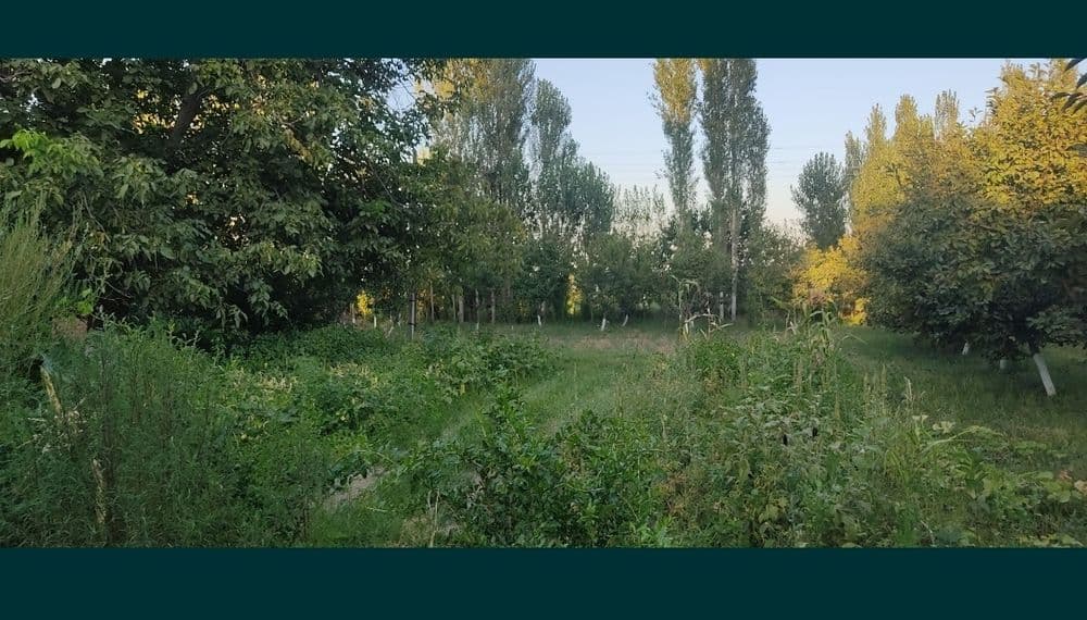 Продаю свой участок с домом — 3