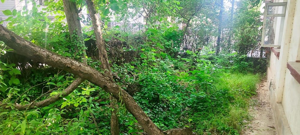 Продается участок 5 соток Мирзо Улугбекский район — 2