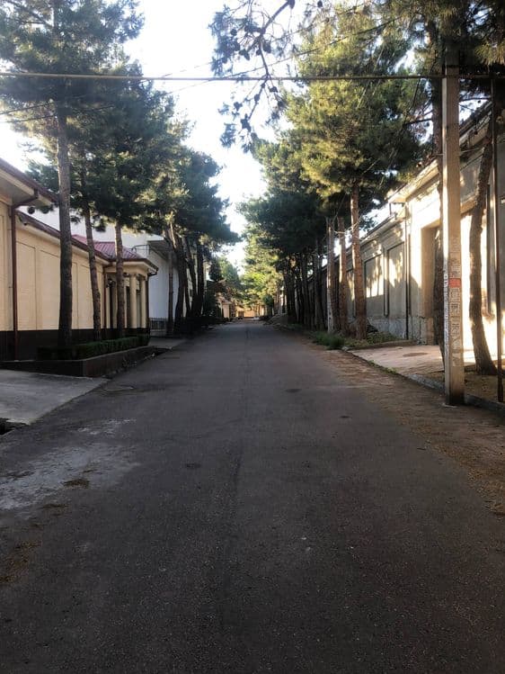 Дўрмон арча кўча, Дурмень, Дормон, Dormon uy. Участок, ер, земля — 2