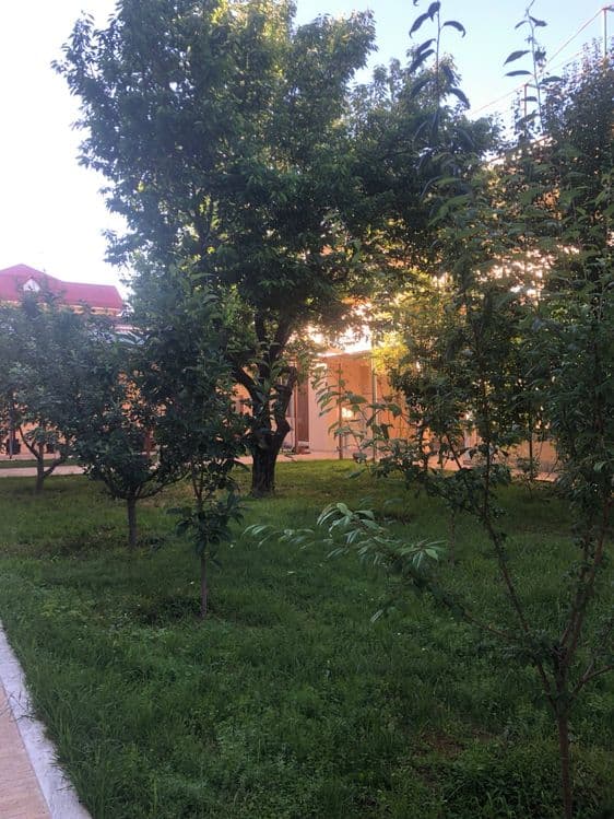 Дўрмон арча кўча, Дурмень, Дормон, Dormon uy. Участок, ер, земля — 4