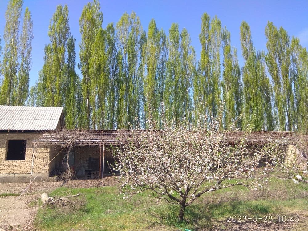 Ховли уй 21 сотик Хонобод шахри — 5
