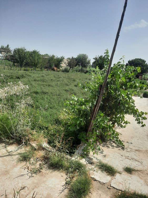Uchastka tayyor yawaw waroitibbor 15 sotiq Shofirkon t. Talsang obod M — 7