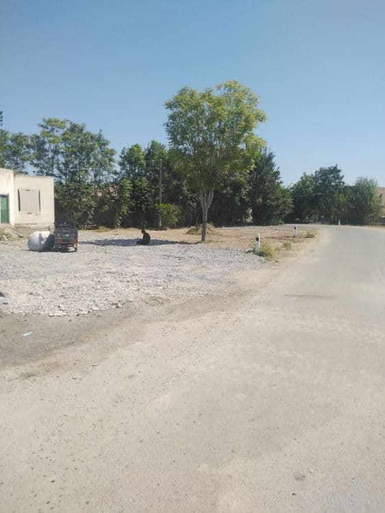 Ассалому алейкум участок сотилади — 1