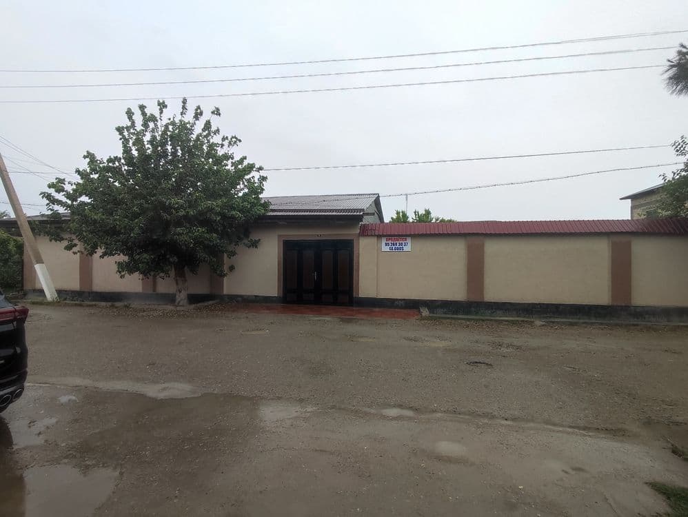 Kogon shaxarda xovli sotiladi — 1