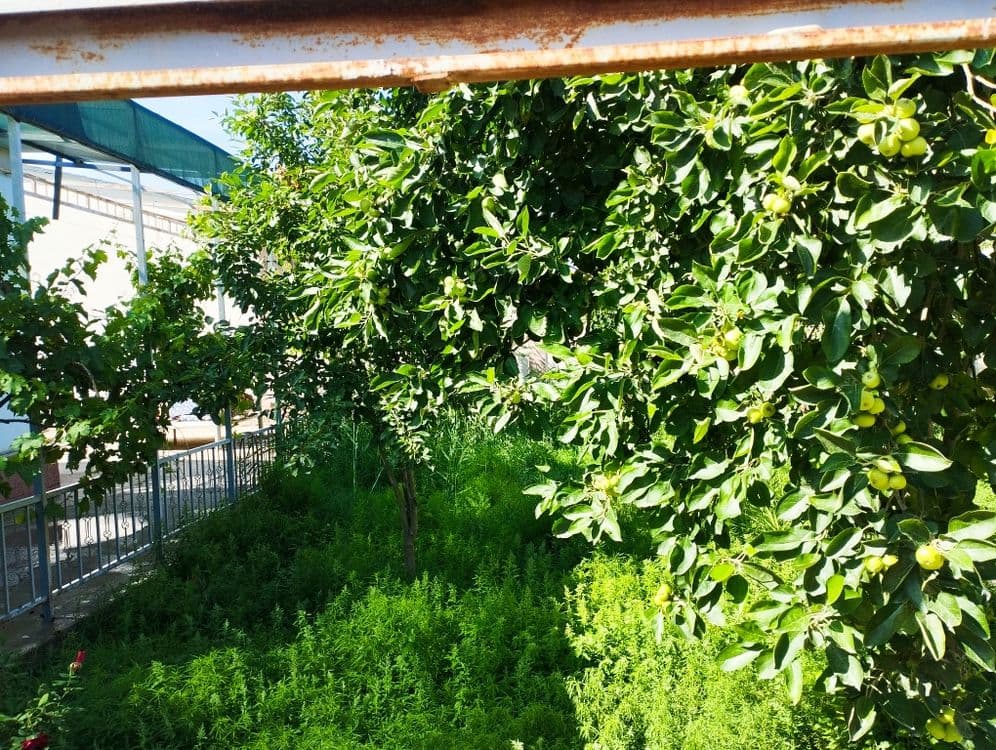 Коттедж 6соток.Лоша светофор — 8