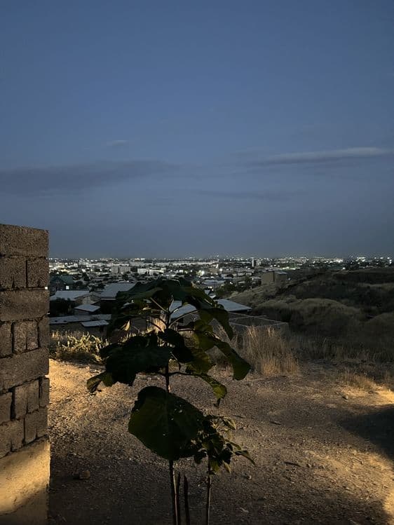 Yangi qurilgan uchastkalar sotiladi — 1