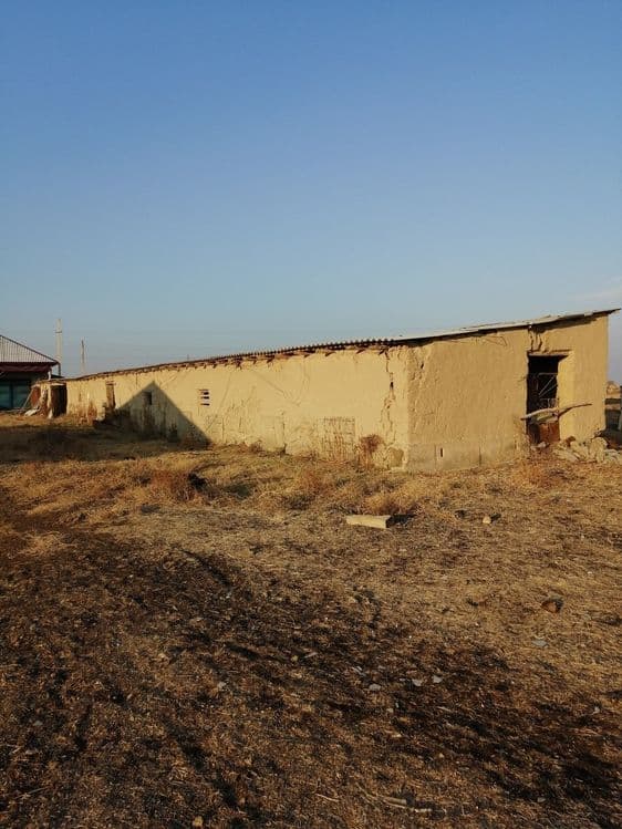 Bo'rdoqichilik bazasi sotiladi barcha xususiy mulk — 3