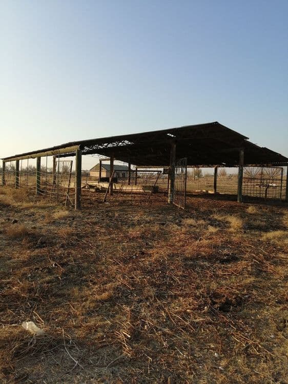 Bo'rdoqichilik bazasi sotiladi barcha xususiy mulk — 4