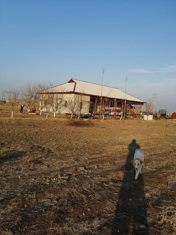 Bo'rdoqichilik bazasi sotiladi barcha xususiy mulk — 5