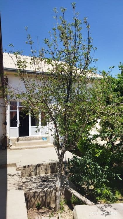 Qarshi shaxar markazidan 4 sotixli hovli — 4