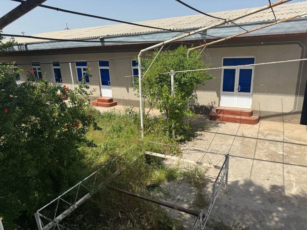 Uchastka 6sotix 7 honali  1 sotixdan oshiq zelyoniy zona bor kochada — 5
